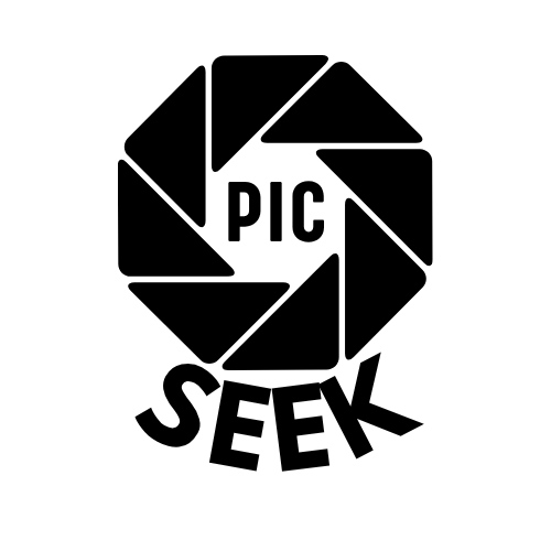 SeekPic